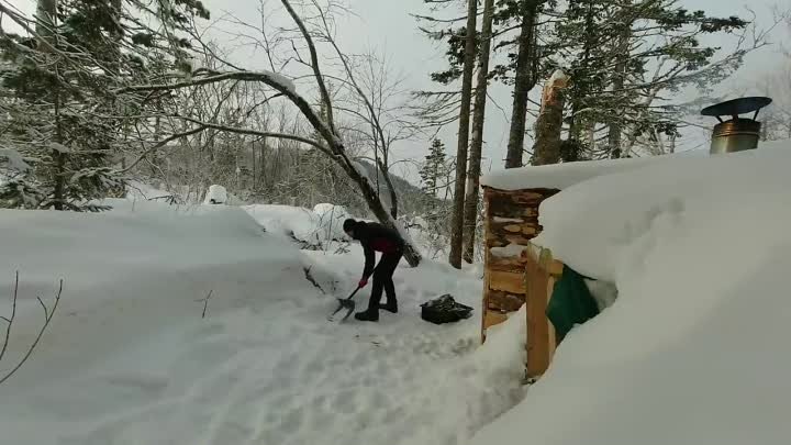 32) Ушли в ДОМ ПОД ЗЕМЛЕЙ  ЗЕМЛЯНКА в ЗИМНЕМ ЛЕСУ  РАКОВИНА из ДЕРЕВ ...