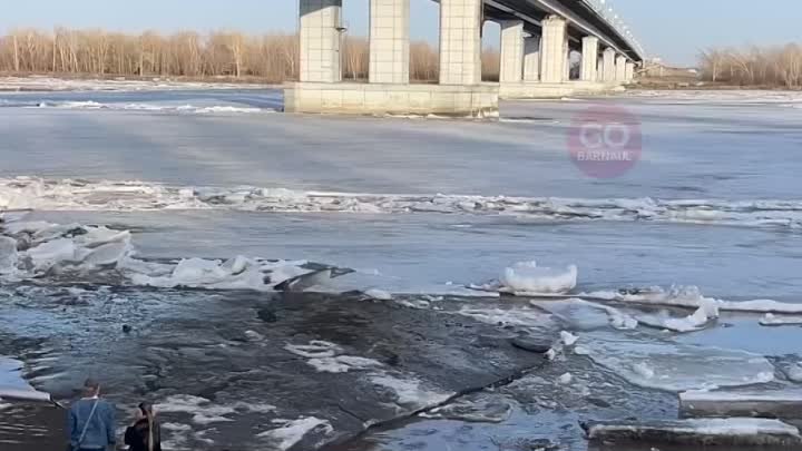 Ледоход Барнаул 2024