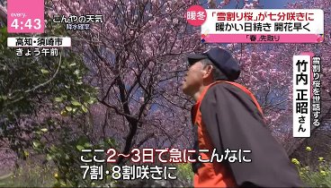 news every 240216 動画 猛毒「トリカブト」検索履歴も…両親ナゼ | 2024年2月16日