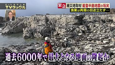 ビートたけしのTVタックル 240331 動画 | 2024年3月31日