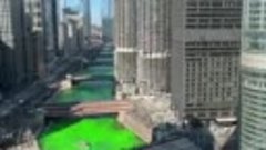 Сантехники Чикаго снова покрасили реку к Дню Святого Патрик