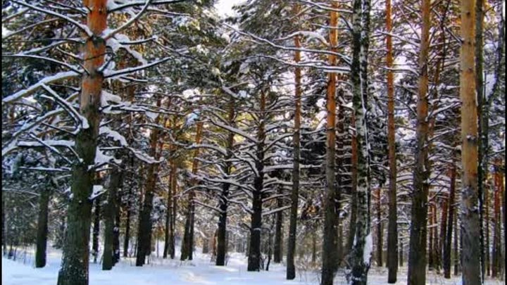 Снег в марте (С. Морозов).