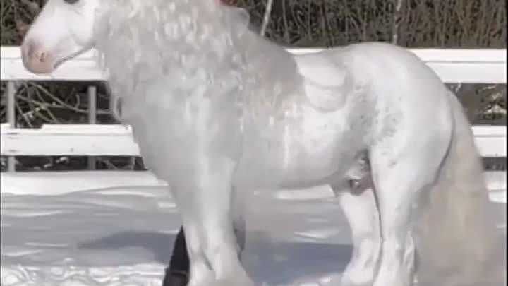 Берегите тепло своей души... Не растрачивайте его на грусть, злобу и ...