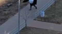 Пингвин разгуливает по улицам  Бурнаковки