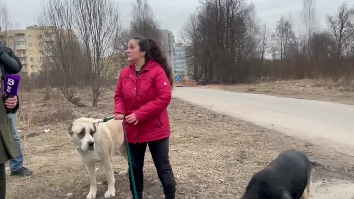 Чёрная зоогостиница «Виноградовой Елены» - Видео от Чёрная зоогос ...