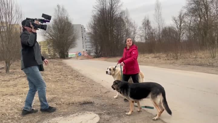 Чёрная зоогостиница «Виноградовой Елены» - Видео от Чёрная зоогос ...