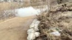 Репортаж с реки Оки и мышеги:  вода вот-вот коснётся бел
