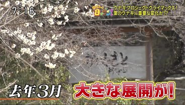 所さんの目がテン! 240317 動画 かがくの里ウナギプロジェクトSP！ | 2024年3月17日