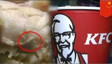 Тайны рецептов KFC: Черви в куриных крыльях!