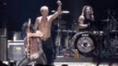 Billy Idol - Rebel Yell 2009  Chicago  Live Video HD