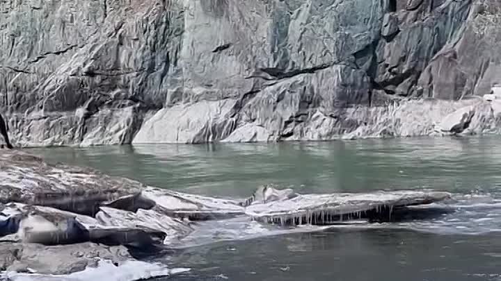 Горная река Чемал в марте. Алтай