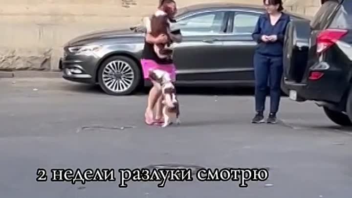 Видео