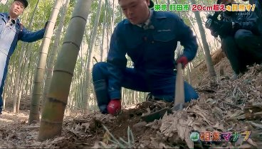 相葉マナブ 240407 動画 新春恒例‼第13回 マナブ！たけのこ掘り | 2024年4月7日