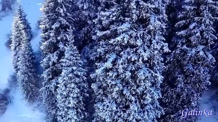 🥀СЕРГЕЙ ЧЕКАЛИН❄ЗИМНЯЯ СОНАТА❄❄❄CHEKALIN Sergey Музыка для души