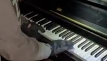 Лесник на пианино