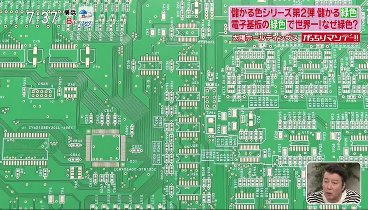 がっちりマンデー 240204 動画 儲かる色シリーズ第２弾！儲かる緑！ | 2024年2月4日