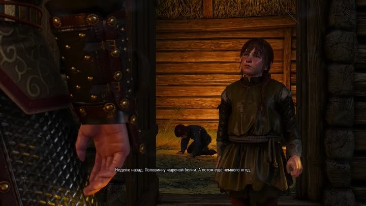 The Witcher 3 | серия 23 |  no comment