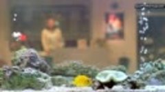 [ДорамаДом] Рыбы / Pisces (2000), 1 часть, русс. суб.