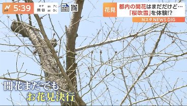 Ｎスタ 240322 動画 ドジャースが通訳の水原一平氏を解雇 | 2024年3月22日
