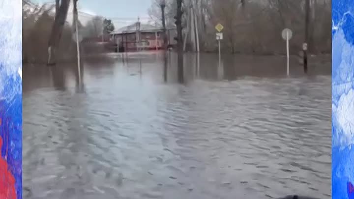 В подтопленном селе Самарской области МЧС спасли обессиленную собаку ...