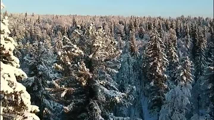 Сержант Василий  - Шуточная песня