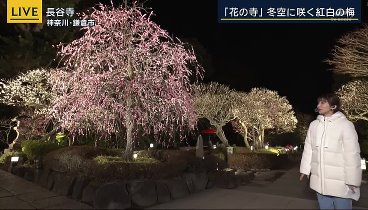 報道ステーション 240209 動画 大谷始動へ…現地中継 | 2024年2月9日