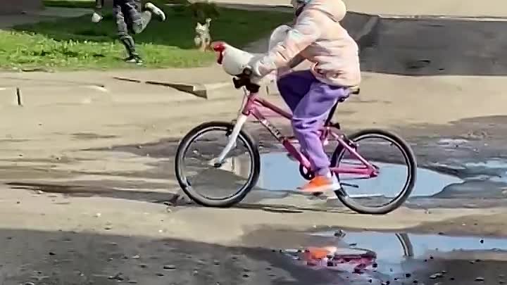 В Иванове жители города заметили девочку с петухом на велосипеде