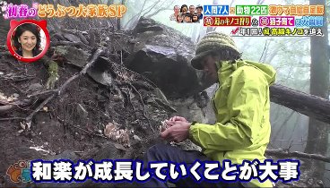 坂上どうぶつ王国 240301 動画 動物22匹人間7人徳島県どうぶつ大家族！ | 2024年3月1日