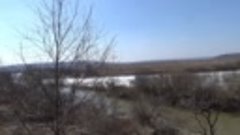 Приморский край, река Раздольная, апрель 2024 г.