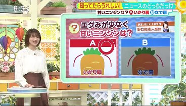 サタデープラス 240210 動画 シドニーでびっくり!!「レストランでお酒持ち込み!?」 | 2024年2月10日