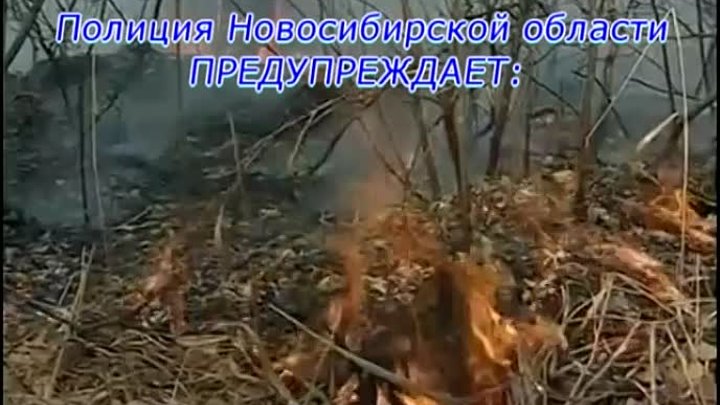 Видео для газеты «СТ» предоставлено начальником ОП «Здвинское» МО МВ ...