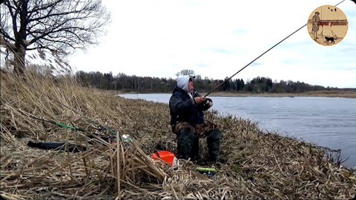 Рыбалка на донку и поплавок,Рыбка клюёт душа поёт. Сamping ,fishing, ...