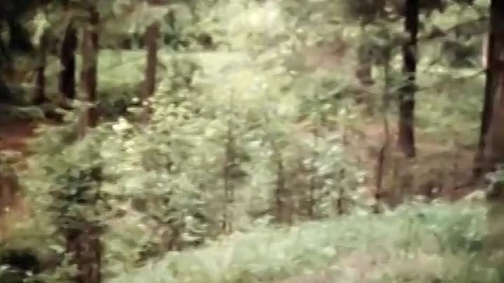 Старое Фряново. Видео 1980-1982 гг.