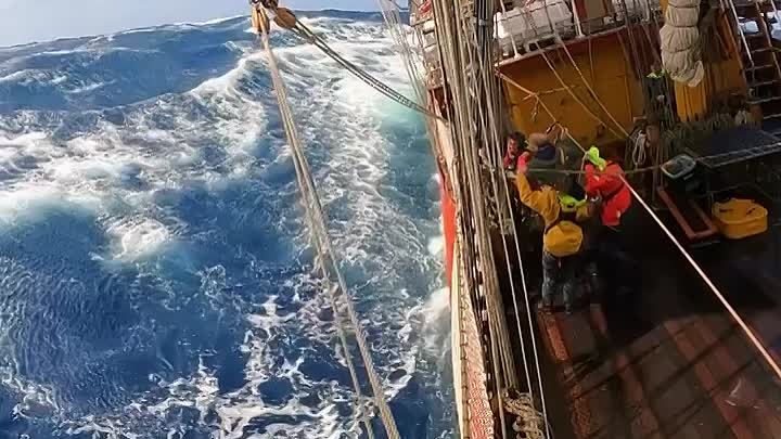 житейское море… 
🌊