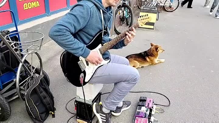 Музыкант на улице