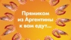 Прямиком из Аргентины к вам едут они!