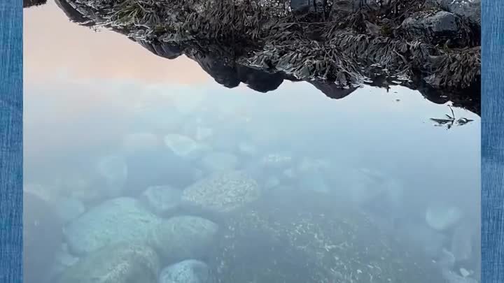 Каменный берег Баренцева моря!