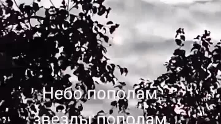 Небо пополам. 