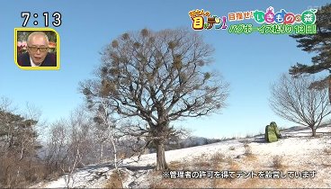 所さんお届けモノです 240217 動画 | 2024年2月17日