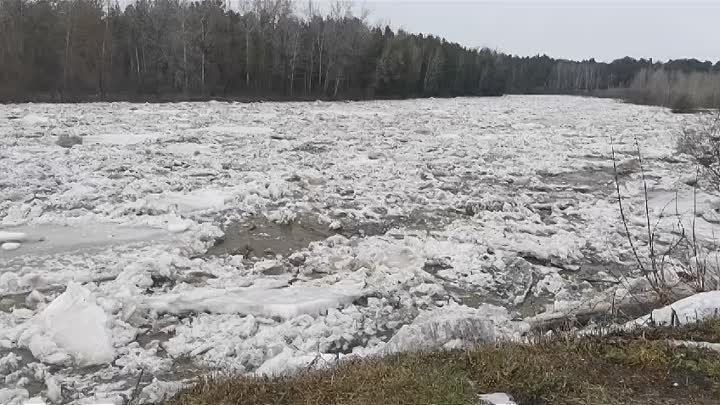 паводок Легостаево