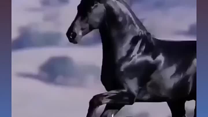 Красота лошади удивительна…