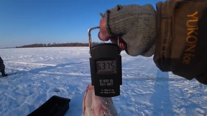 Под этой корягой огромные СУДАКИ ! Рыбалка на ОКЕ по последнему льду ...