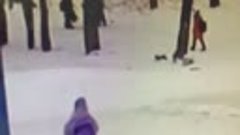 В Омске женщина ударила семилетнего обидчика сына