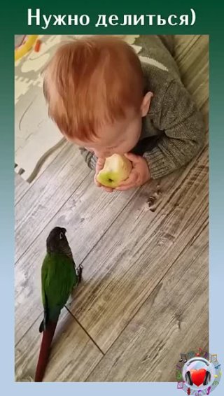 Свободу и хлеб попугаям!)
