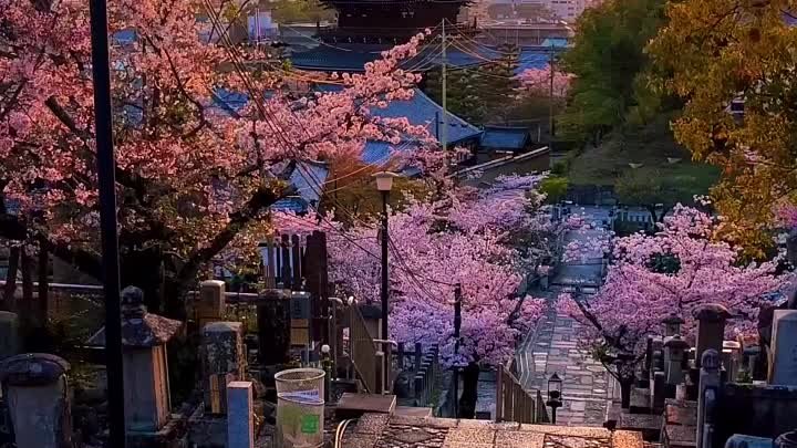 Умиротворяющие пейзажи Японии_Киото