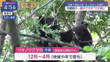 スーパーJチャンネル 240311 動画 死者の7割は火災で…首都直下地震への備え | 2024年3月11日