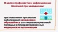 Приложение Видеоролик к вх письмо от Управление Роспотребнад...