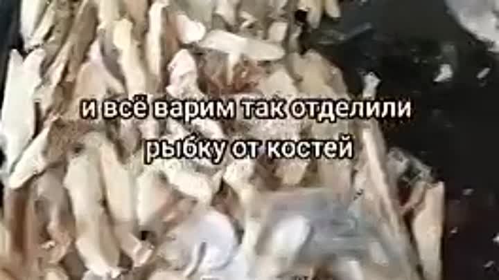 А вы своих деток чем кормите?