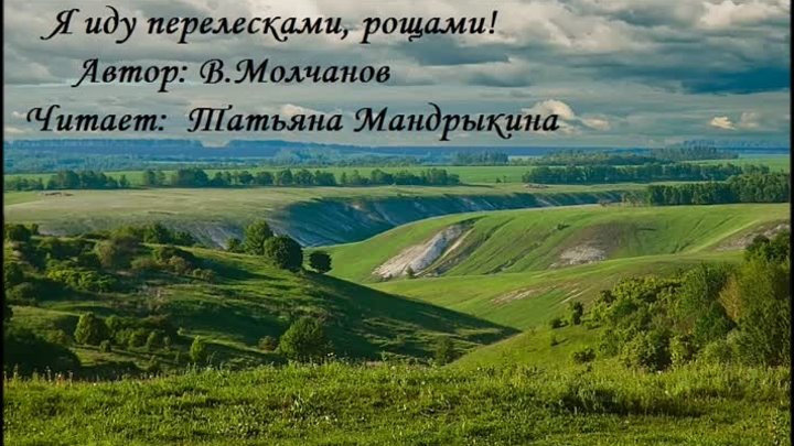 Ржевская модельная библиотека филиал