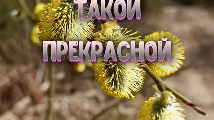 Для дочки🌺